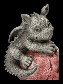 Garten Figur - Drache Auf Blumentopf Links 17 Garten Figur - Drache Auf Blumentopf Links -FIGUREN Verkäufe 2D ML7679 Ersatzbilder 7 1280x1280