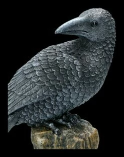 Schwarzer Rabe Sitzt Auf Fels -FIGUREN Verkäufe 2D ML9237 Schwarzer Rabe sitzt auf Fels 2 1280x1280