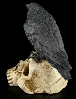 Raben Figur Sitzt Auf Totenschädel -FIGUREN Verkäufe 6384 3 crow skull 3 1280x1280