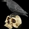 Raben Figur Sitzt Auf Totenschädel -FIGUREN Verkäufe 6384 4 crow skull 4 1280x1280