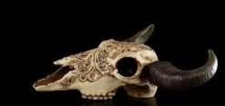 Totenkopf Bison Mit Tribals 9 Totenkopf Bison Mit Tribals -FIGUREN Verkäufe 6738 2 tribal bison skull 2 1280x1280