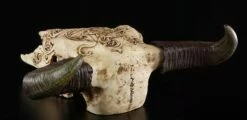 Totenkopf Bison Mit Tribals 10 Totenkopf Bison Mit Tribals -FIGUREN Verkäufe 6738 3 tribal bison skull 3 1280x1280
