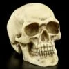 Totenkopf - Menschen Schädel -FIGUREN Verkäufe 8588 0 menschen schaedel 1280x1280
