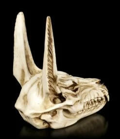 Totenkopf - Anubis Gott Der Totenriten -FIGUREN Verkäufe Aegyptischer Totenkopf Anubis 4 1280x1280