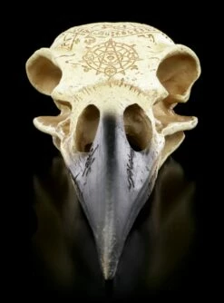 Alchemy Rabenschädel - Omega -FIGUREN Verkäufe Alchemy Rabenschaedel Omega 1 1280x1280