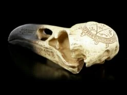 Alchemy Rabenschädel - Omega -FIGUREN Verkäufe Alchemy Rabenschaedel Omega 3 1280x1280