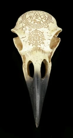 Alchemy Rabenschädel - Omega -FIGUREN Verkäufe Alchemy Rabenschaedel Omega 5 1280x1280