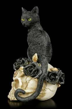 Alchemy Totenkopf - Katze Auf Schädel -FIGUREN Verkäufe Alchemy Totenkopf Katze Auf Schaedel 5 1280x1280