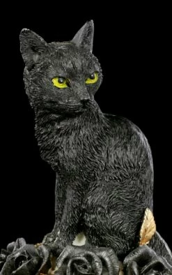 Alchemy Totenkopf - Katze Auf Schädel -FIGUREN Verkäufe Alchemy Totenkopf Katze Auf Schaedel 7 1280x1280