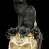 Alchemy Totenkopf - Katze Auf Schädel -FIGUREN Verkäufe Alchemy Totenkopf Katze Auf Schaedel 1280x1280