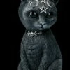 NEMESIS NOW Okkulte Katzenfigur Mit Hörnern - Pawzuph Groß 2 NEMESIS NOW Okkulte Katzenfigur Mit Hörnern - Pawzuph Groß -FIGUREN Verkäufe B2534S0 Okkulte Katzenfigur mit Hornern Pawzuph gross 1 1280x1280