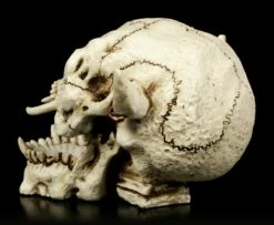 Dämonen Schädel Mit Ohrring -FIGUREN Verkäufe Daemonenschaedel Mit Ohrring 3Toc4shRq2G1J9 1280x1280