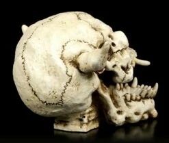 Dämonen Schädel Mit Ohrring -FIGUREN Verkäufe Daemonenschaedel Mit Ohrring 4X0EPmM4Qfv7ZH 1280x1280