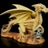 Drachen Figur - Baby Desert Dragon 2 Drachen Figur - Baby Desert Dragon -FIGUREN Verkäufe Drachen Figur Baby Desert Dragon 1280x1280