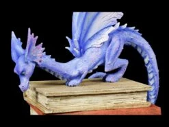 Drachen Figur - Book Dragon -FIGUREN Verkäufe Drachen Figur Book Dragon 6 1280x1280