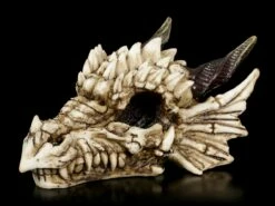 Drachenschädel - Drachenskelett -FIGUREN Verkäufe Drachenschaedel Drachenskelett 2 1280x1280