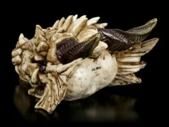 Drachenschädel - Drachenskelett -FIGUREN Verkäufe Drachenschaedel Drachenskelett 3 1280x1280