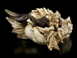 Drachenschädel - Drachenskelett -FIGUREN Verkäufe Drachenschaedel Drachenskelett 4 1280x1280