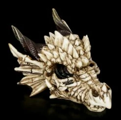 Drachenschädel - Drachenskelett -FIGUREN Verkäufe Drachenschaedel Drachenskelett 5 1280x1280