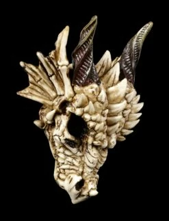 Drachenschädel - Drachenskelett -FIGUREN Verkäufe Drachenschaedel Drachenskelett 6 1280x1280