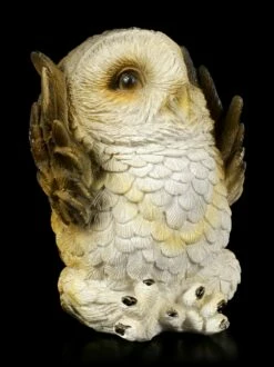 Drei Weise Eulen Figuren - Nichts Böses -FIGUREN Verkäufe Drei Weise Eulen Figuren Nichts Boeses 4 1280x1280