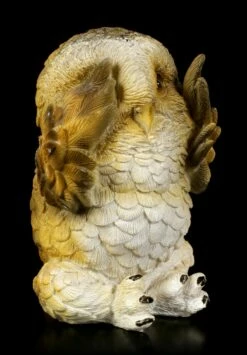 Drei Weise Eulen Figuren - Nichts Böses -FIGUREN Verkäufe Drei Weise Eulen Figuren Nichts Boeses 6 1280x1280