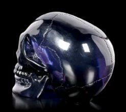 Dunkelblauer Totenkopf Mit Beweglichem Unterkiefer 12 Dunkelblauer Totenkopf Mit Beweglichem Unterkiefer -FIGUREN Verkäufe Dunkelblauer Totenkopf Mit Beweglichem Unterkiefer 3 1280x1280