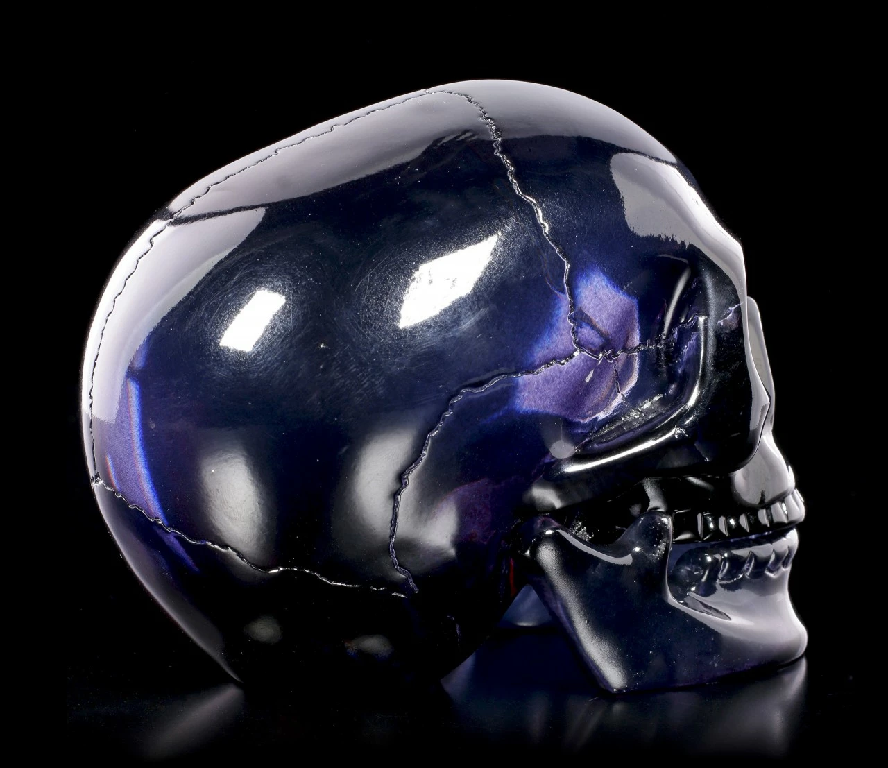 Dunkelblauer Totenkopf Mit Beweglichem Unterkiefer 8 Dunkelblauer Totenkopf Mit Beweglichem Unterkiefer – Bild 6