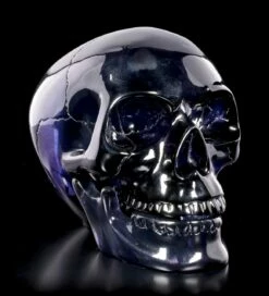 Dunkelblauer Totenkopf Mit Beweglichem Unterkiefer