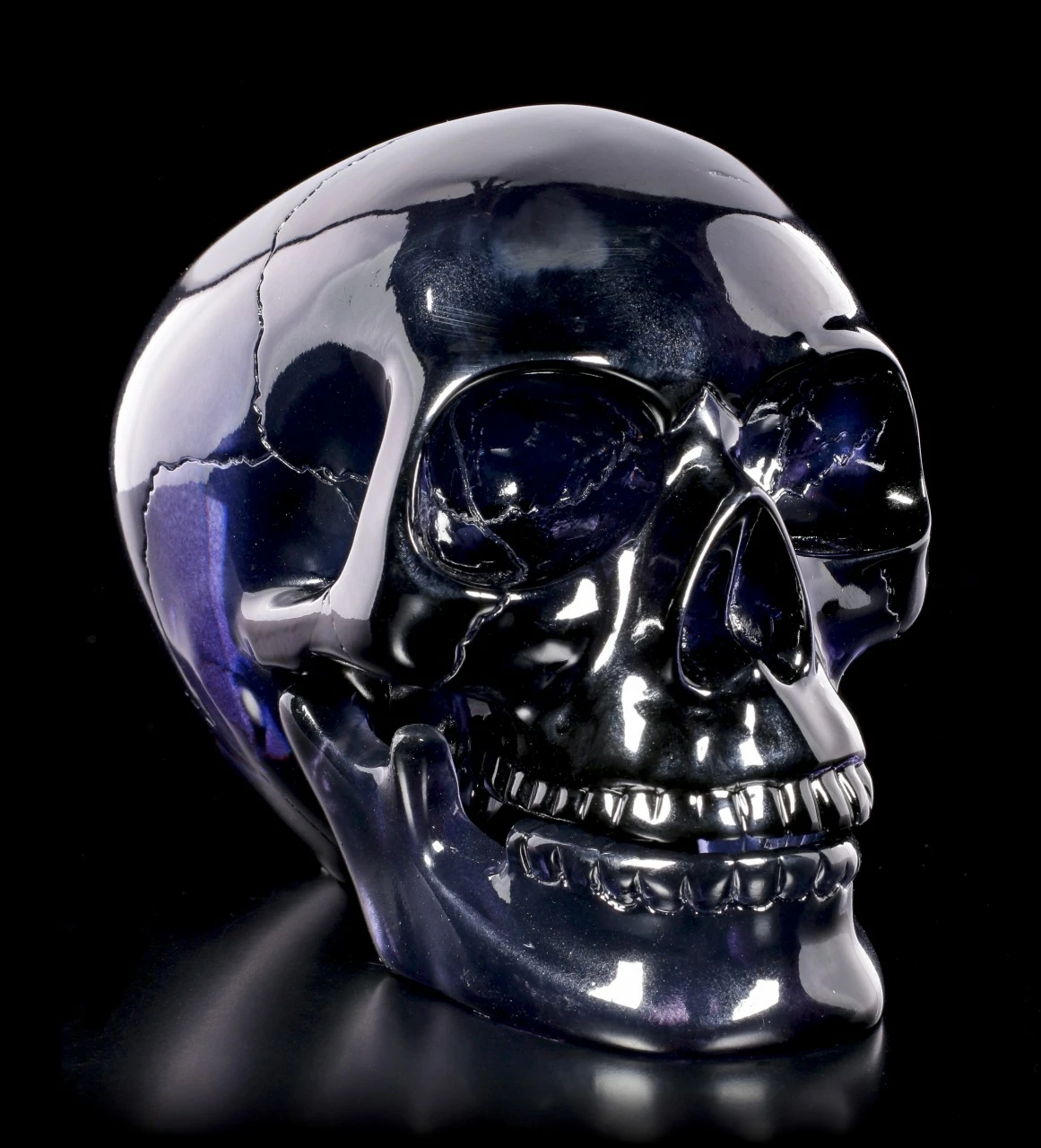 Dunkelblauer Totenkopf Mit Beweglichem Unterkiefer 3 Dunkelblauer Totenkopf Mit Beweglichem Unterkiefer