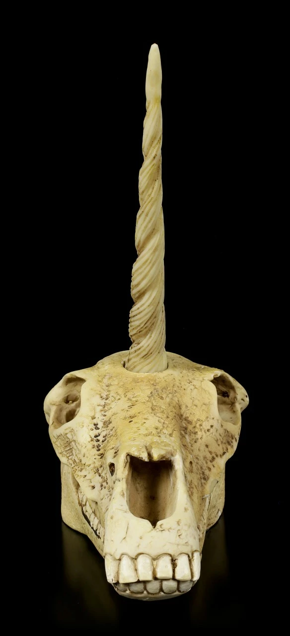 Einhorn Totenkopf 4 Einhorn Totenkopf – Bild 2