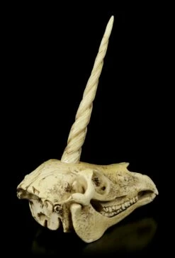 Einhorn Totenkopf 12 Einhorn Totenkopf -FIGUREN Verkäufe Einhorn Totenkopf 4 1280x1280