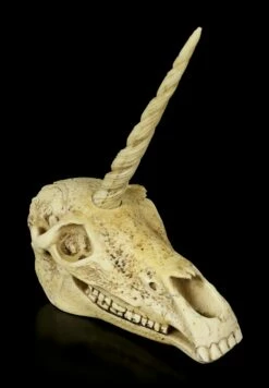 Einhorn Totenkopf 13 Einhorn Totenkopf -FIGUREN Verkäufe Einhorn Totenkopf 5 1280x1280