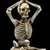 Skelett Figur - Lotus Mit Händen über Kopf -FIGUREN Verkäufe FS20660 Meditation Skelett Figur Lotus mit Haende ueber Kopf 0 1280x1280