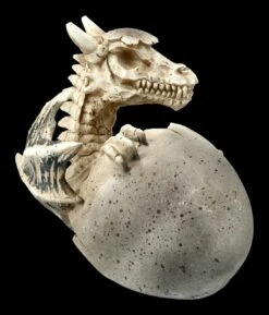 Skelett Drachen Figur Schlüpft Aus Ei -FIGUREN Verkäufe FS20672 Skelett Drachen Figur schluepft aus Ei 7 1280x1280