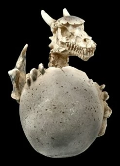 Skelett Drachen Figur Schlüpft Aus Ei -FIGUREN Verkäufe FS20672 Skelett Drachen Figur schluepft aus Ei 8 1280x1280