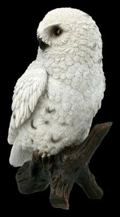 Weiße Schneeeulen Figur Auf Ast -FIGUREN Verkäufe FS20700 Weisse Schneeeule auf Ast 3 1280x1280
