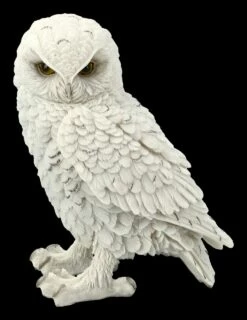 Schneeeulen Figur - Snowy Watch Groß 8 Schneeeulen Figur - Snowy Watch Groß -FIGUREN Verkäufe FS20717 Schneeeulen Figur Snowy Watch gross 2 1280x1280