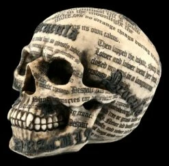 NEMESIS NOW Totenkopf Vampir - Draculas Tale -FIGUREN Verkäufe FS20735 Totenkopf Draculas Tale 3 1280x1280