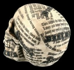 NEMESIS NOW Totenkopf Vampir - Draculas Tale -FIGUREN Verkäufe FS20735 Totenkopf Draculas Tale 5 1280x1280