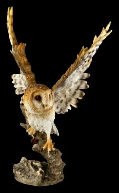 Eulen Figur - Große Schleiereule -FIGUREN Verkäufe FS20785 Grosse Schleiereule Figur 1 1280x1280