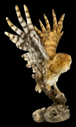 Eulen Figur - Große Schleiereule -FIGUREN Verkäufe FS20785 Grosse Schleiereule Figur 8 1280x1280