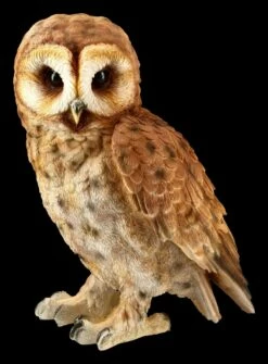 Eulen Figur - Bartkauz -FIGUREN Verkäufe FS20789 Bartkauz Figur stehend 2 1280x1280