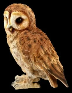 Eulen Figur - Bartkauz -FIGUREN Verkäufe FS20789 Bartkauz Figur stehend 3 1280x1280