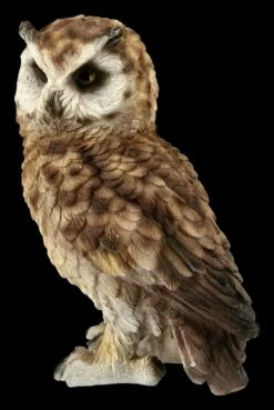 Eulen Figur - Waldohreule Klein -FIGUREN Verkäufe FS20790 Waldohreule Figur stehend 3 1280x1280