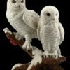 Eulen Figur - Schneeeulen Paar Auf Ast -FIGUREN Verkäufe FS20794 Schneeeulenpaerchen auf Ast stehend 1 1280x1280