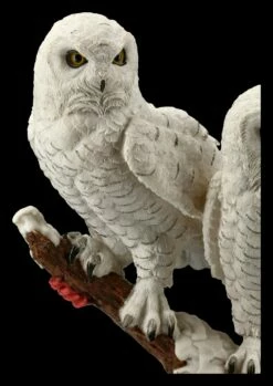 Eulen Figur - Schneeeulen Paar Auf Ast -FIGUREN Verkäufe FS20794 Schneeeulenpaerchen auf Ast stehend 8 1280x1280