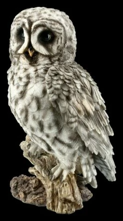 Eulen Figur - Bartkauz Auf Ast - Groß -FIGUREN Verkäufe FS20795 Eulen Figur Bartkauz auf Ast sitzend gross 3 1280x1280
