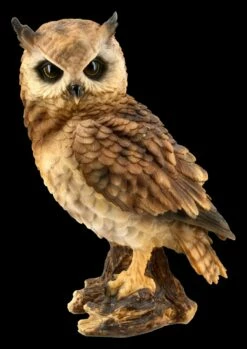 Eulen Figur - Waldohreule Groß -FIGUREN Verkäufe FS20797 Eulen Figur Waldohreule stehend 1 1280x1280