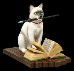 Katzen Figur - Hocus Pocus